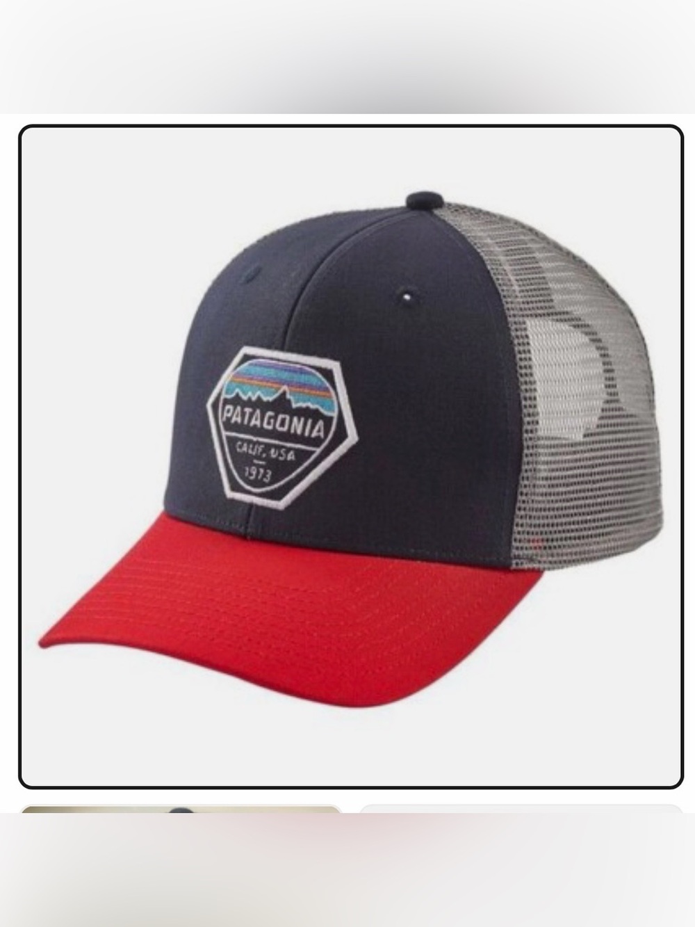 Patagonia Fitz Roy Hex Trucker Hat